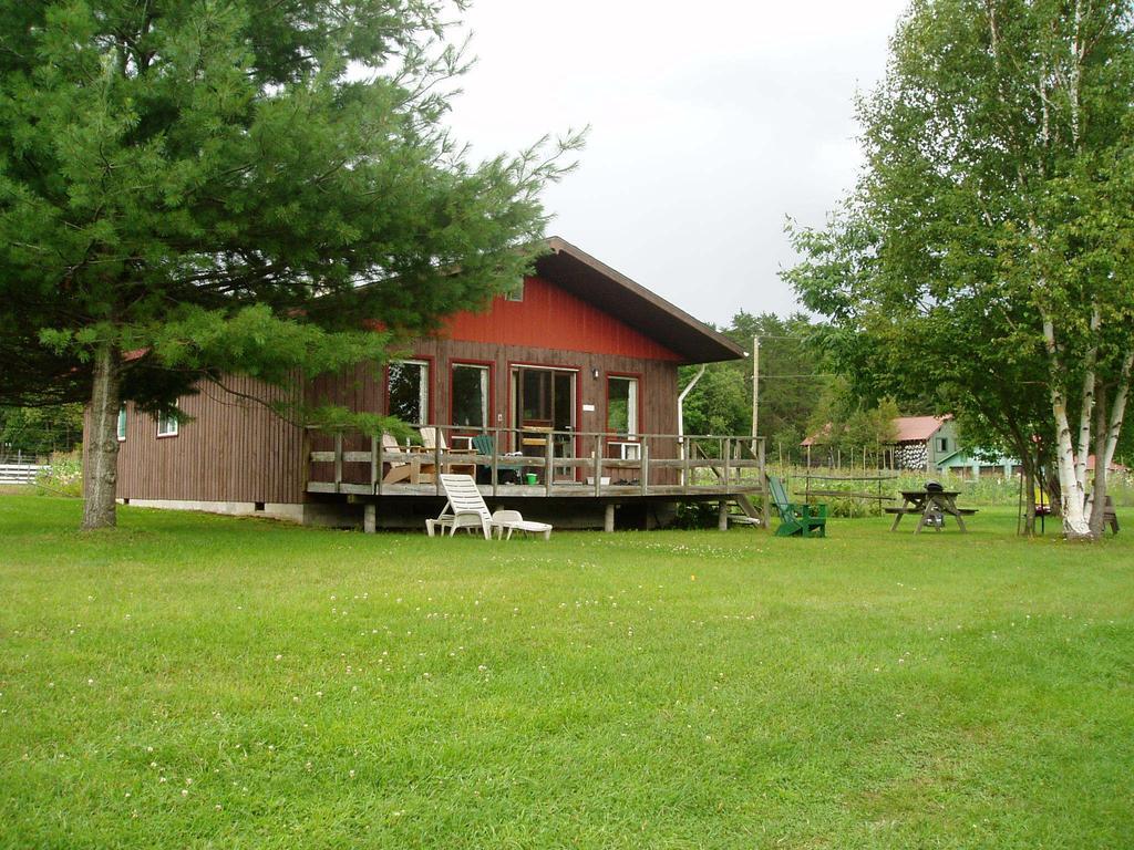 Bondi Village Cottage Resort Lake of Bays ภายนอก รูปภาพ