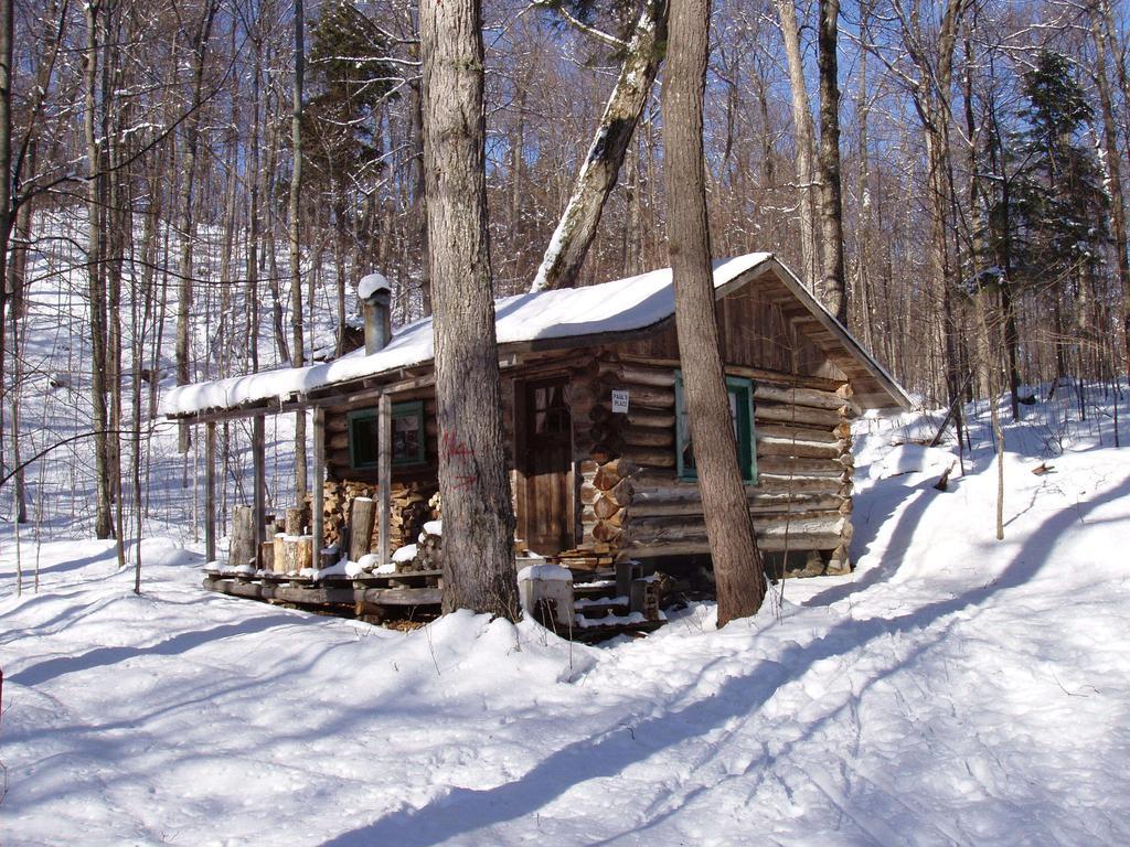 Bondi Village Cottage Resort Lake of Bays ภายนอก รูปภาพ
