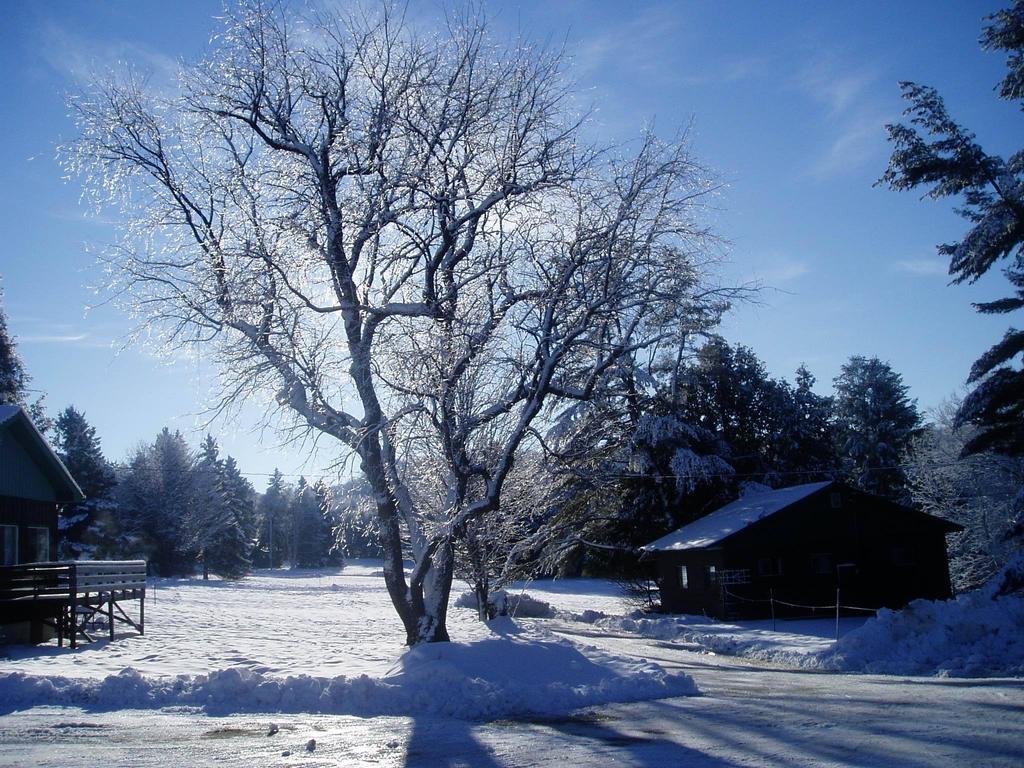 Bondi Village Cottage Resort Lake of Bays ภายนอก รูปภาพ